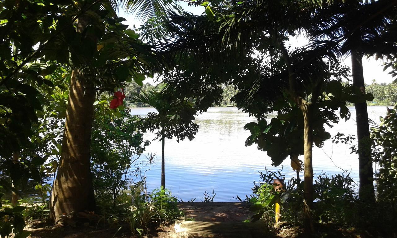 Готель Big Banana Island Retreat North Paravur Екстер'єр фото