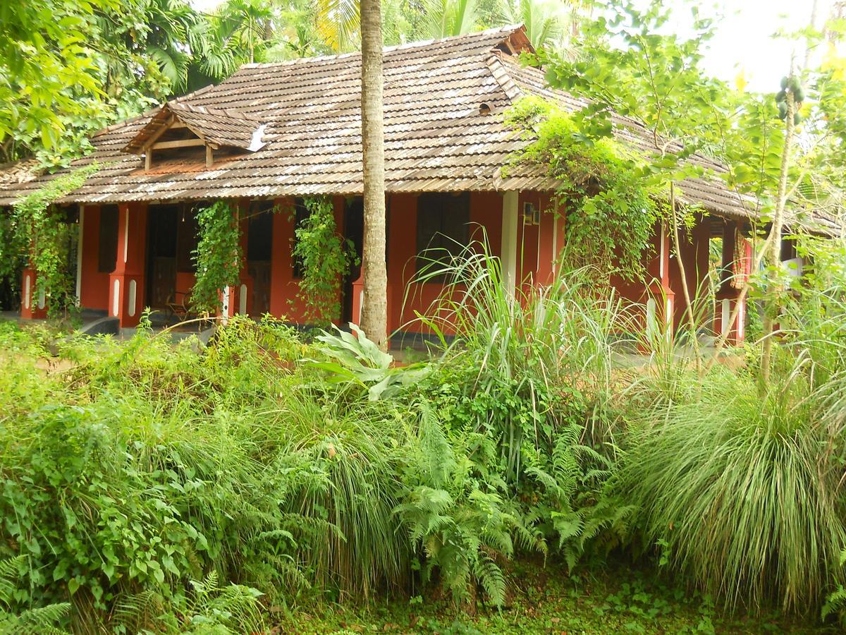 Готель Big Banana Island Retreat North Paravur Екстер'єр фото