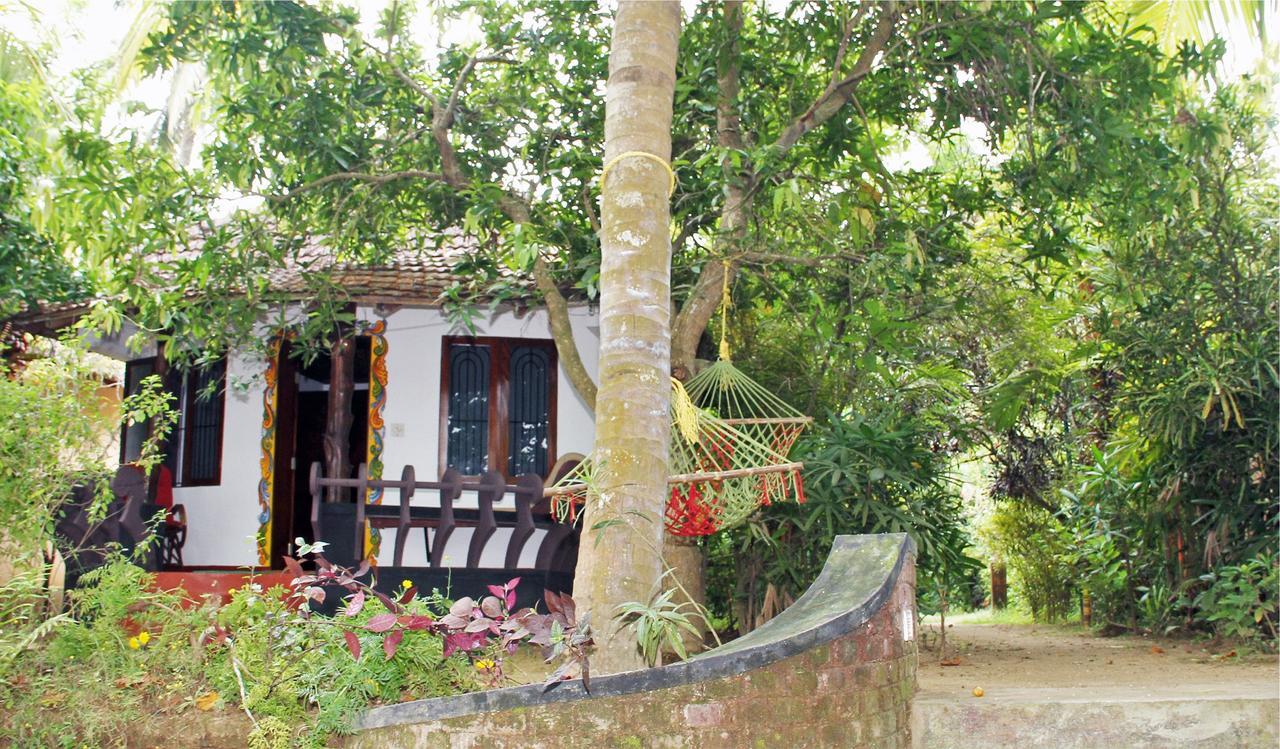 Готель Big Banana Island Retreat North Paravur Екстер'єр фото